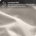 thumbnail image 4 of Bare Home Percale Weave Pillowcase Set - 300 Thread Count - 100% Organic Cotton - Standard, French Beige, 4 of 4