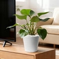 thumbnail image 2 of Hometrends 8" Ceramic Ribbed Pot-White, 2 of 8