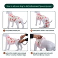 thumbnail image 3 of Kuoser Dog Surgical Recovery Suit Dogs Cat Onesie after Surgery,Pink,S, 3 of 7