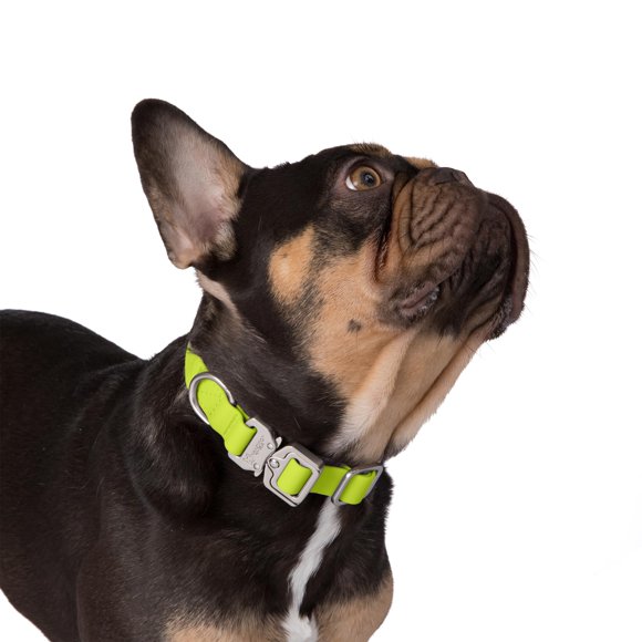 NANDOG The Signature Collection Waterproof Poly-Flex Sport Dog Collar in Medium Neon Green - Durable & Adjustable Design - Comfortable Fit for Active Dogs - Ideal for Outdoor Adventures