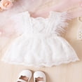thumbnail image 2 of Robe en Dentelle Florale Sans Manches pour Bébé Fille, Princesse, Robe d'Été en Tulle pour Nourrisson, 2 of 7