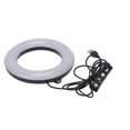 thumbnail image 3 of Ring Fill Light, Dual Color Ring Light  For Live Steaming Online Meeting For Outdoor Photo Lights Indoor Fill Lights, 3 of 8