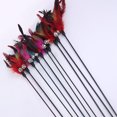 thumbnail image 3 of Langgg Pet Teaser Plastic Long Handle Teasing Rod Stick Feather Bell Interactive Pet Toy, Black, 3 of 7