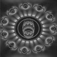 thumbnail image 1 of Ahgly Tapis d'Intérieur Lavable en Machine Carré Noir Charbon, 6 Pieds Carré, 1 of 7