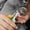 Yellow,Light Green A, variant on Avdolw Metal Nail Clippers for Dogs and Cats, Fishtail Handle Pet Nail Trimmers, Adjustable Safety Stopper, Ergonomic Design