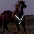 thumbnail image 4 of thinsony Réglable Cheval Pectoral Collier Haut Visible Harnais Extérieur Blanc, 4 of 5