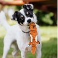 thumbnail image 4 of SPOT Mini Skinneeez Extreme Quilted Chipmunk Stuffing Free Plush Tug Dog Toy, 4 of 5