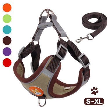Harnais pour Chiot - Ensemble Harnais et Laisse pour Petit Chien, Gilet Réfléchissant Rembourré Ajustable et Confortable pour la Marche des Chiots et Petites Races (Marron, G)