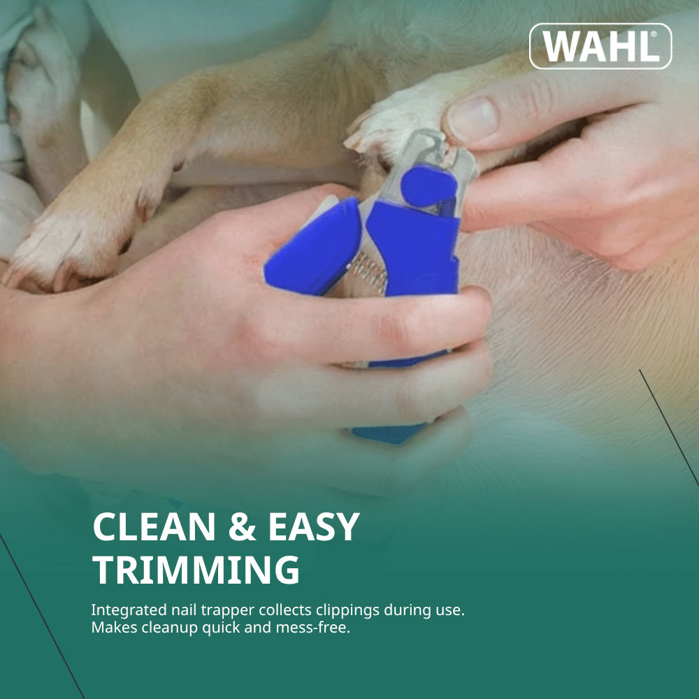 LED Pet Nail Clipper for Dogs & Cats – Precision Nail Trimmer with Built-in LED Light to See Quick, Ergonomic Grip, Safe & Easy Grooming Tool for Pets at Home - Model 58171