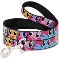 thumbnail image 1 of Buckle-Down "Ponies Close-UP Fuchsia Pet Leash, 6-1/2", 1 of 3