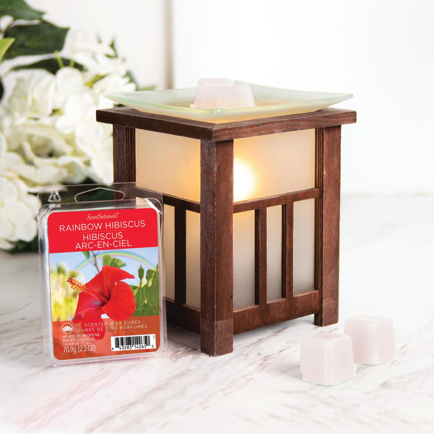 Cubes de cire parfumée ScentSationals - Hibiscus arc-en-ciel