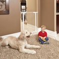 thumbnail image 2 of Midwest Homes For Pets Midwest Expanding White Steel Gate 39", 2 of 5