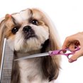 thumbnail image 1 of Ciseaux de Toilettage pour Animaux, Ciseaux pour Animaux, Sac de Rangement en Cuir PU Professionnel Cisaille de Toilettage et de Coiffure pour Animaux Chat Chien Maison, 1 of 8