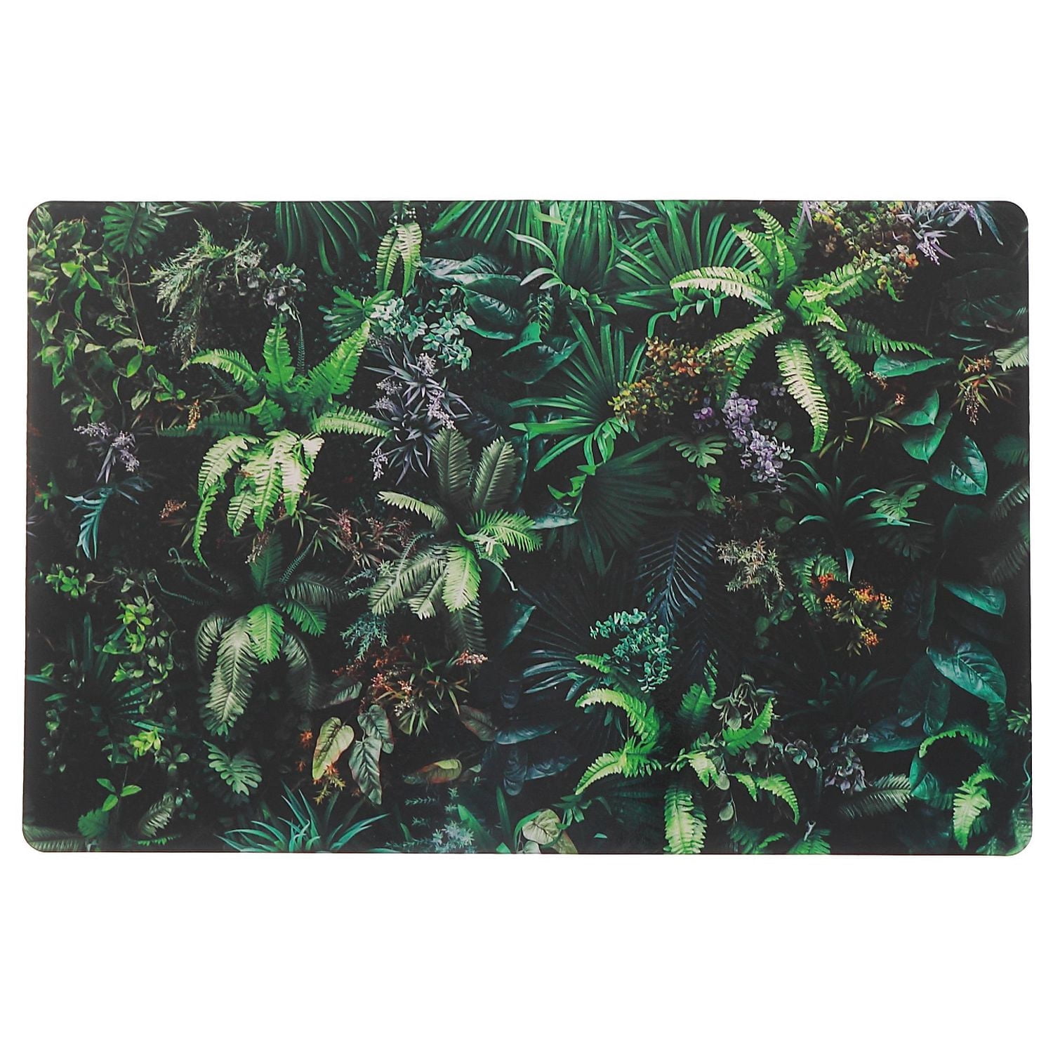 Plastic Placemat Living Wall - Set of 12