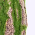 thumbnail image 3 of Simulation Tree Bark Home Sewer Decoration Fake Tree Bark Green Moss Wedding Decoration Grass Wall Artificial Plants-B, 3 of 5