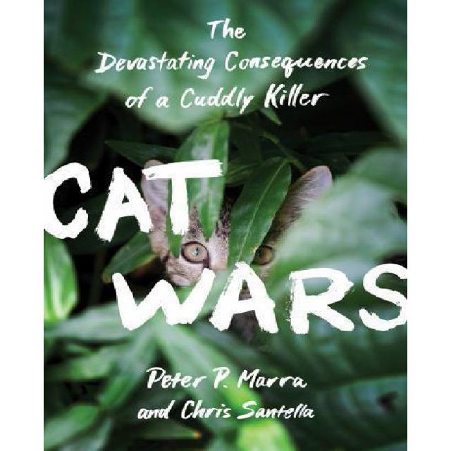 Cat Wars: les Conséquences Dévastatrices d'Un Tueur Câlin