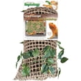 thumbnail image 1 of Penn Plax Natural Lizard Lounger With Vines, 1 of 4