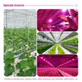 thumbnail image 4 of LED Grow Light Full Spectrum Phyto Lamp for Plants Led Grow Lamp Seed Greenhouse Growth Lighting, 4 of 4