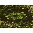 thumbnail image 1 of Ahgly Tapis Rectangulaire Lavable en Machine Intérieur Transitionnel Gris Minuit, 2 Pieds x 5 Pieds, 1 of 7