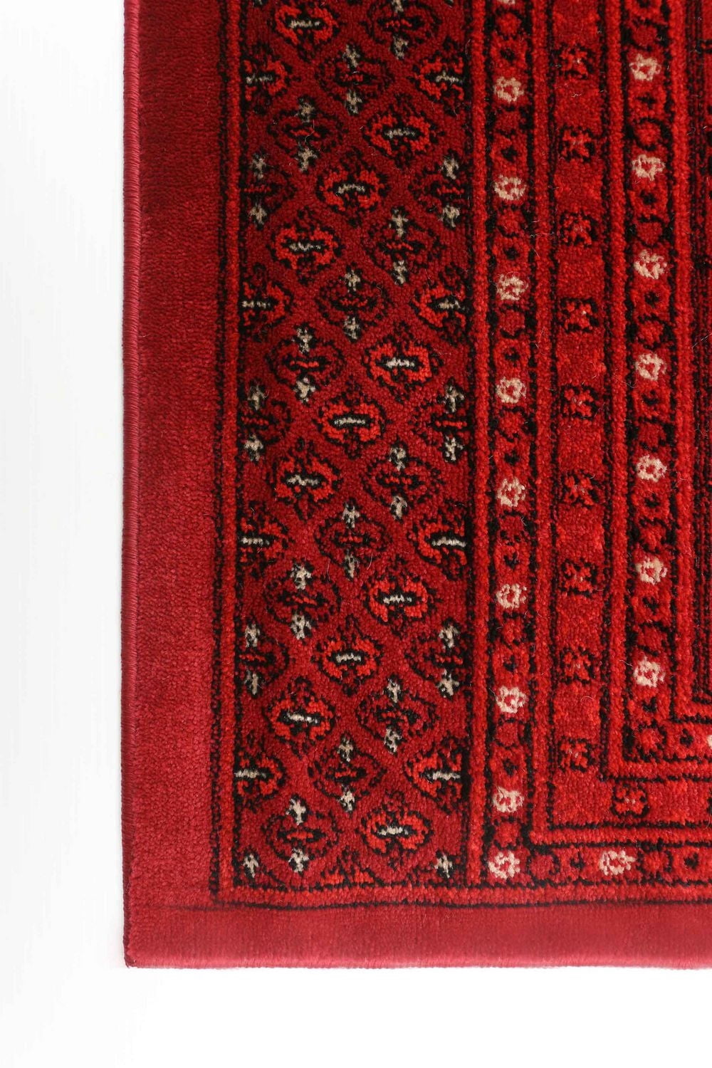 Tapis ECARPET Oriental Traditionnel Bokhara