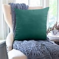 thumbnail image 3 of Dvruxg Velvet Throw Pillow Covers 16x16 Inch - Soft Square Decorative Cushion Cover for Couch, Sofa, 3 of 5