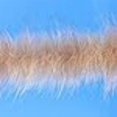 thumbnail image 3 of Enrico Puglisi Brosse Foxy 3 Pouces de Large, 3 of 4