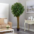 thumbnail image 5 of Nearly Natural 5379 Ficus de 7,5 Pi Résistant aux UV - Intérieur-Extérieur, 5 of 5