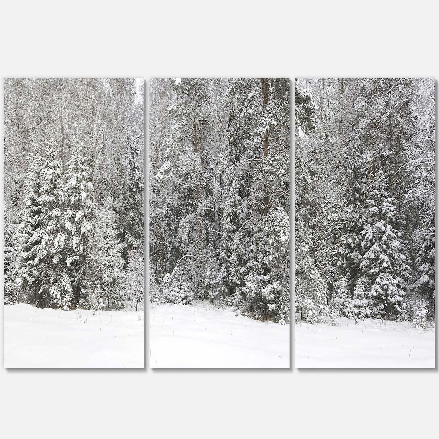 Designart Foggy Winter Forest Panorama Canvas Wall Art
