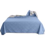 Été A/C Comforters Été Cool Comfortermugwort Ice Spring Cool Feeling Comforter Light Summer Comforter