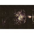 thumbnail image 1 of Ahgly Company Tapis d'Intérieur Rectangulaire Transitionnel Noir Nuit Lavable à la Machine, 2 Pieds x 5 Pieds, 1 of 7