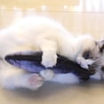 thumbnail image 4 of 50 % de Rabais! 30CM Chat Jouet Simulation Poisson Jouet Chat Menthe USB Charge Argent Arowana, 4 of 6
