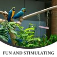 thumbnail image 3 of MLINS Bird Wood Perch Parrot Cage Hanging Stand Rod Wooden Perch Toy Parrot Swing Toy, 3 of 6