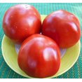 thumbnail image 2 of HJADGG Seeds European Tomato Tree as Tamarillo Heirloom Non-GMO, 2 of 8