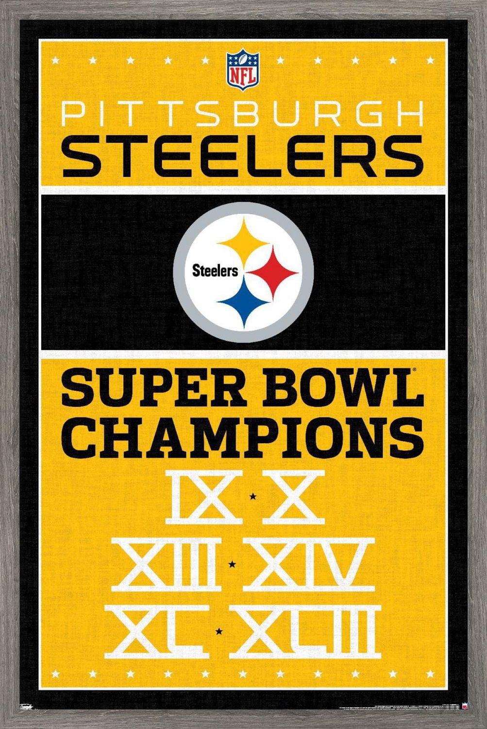 NFL Pittsburgh Steelers - Champions 13