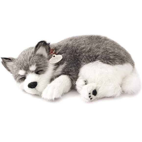 Perfect Petzzz Alaskan Husky Plush, Realistic Sleeping Breathing Dog Toy with Lifelike Fur, Interactive Companion Pet