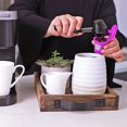 thumbnail image 4 of Jinsinto Filtres à Café Réutilisables 6 Pinceaux Violets + Cuillères (en Sachet PP), 4 of 5