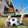 thumbnail image 4 of Shengyu High Strength Basketball Bags Designed For Soccer Basketball Game Essentials Soccer Basketball Bag, 4 of 6