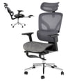 thumbnail image 1 of 3Rd Gen Ergonomic High Back Mesh Office Chair with Footrest, 4d Adjustable Armrests & Dynamic Lumbar Support, Reclining Tilt Function Rolling Casters Desk Chair for Home Office, Black, 1 of 8
