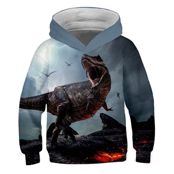 3D Dinosaur Print Hoodie, Hooded Pullover For Boys And Girls, Suitable For 4-15 Years, Spring Autumn Winter-ZJKDGJKJ