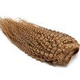 thumbnail image 3 of Afro Kinky Curly Double Weft Clip in Human Hair Extensions Full Head For Women, 3 of 6
