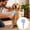 Blue, variant on Ice Grooming Brush and Massage Comb for Pet Bathing Shedding Control Deshedding with Ergonomic Handle