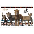 thumbnail image 1 of Disney Mufasa : Le Roi Lion - Groupe, 1 of 4