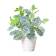thumbnail image 2 of Czzoypi Artificial Green Plants Simulation Potted Clearance (Multicolor), Artificial Green Plants Simulation Potted Home Office Hotel Lobby Decoration Green Plants Home Decoration Artificial Plants, 2 of 6