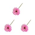 thumbnail image 2 of Maytalsory Realistic Appearance Non-toxic Cats Dogs Safe Home Decor For Lovers Odorless Silk Wide Application Low Maintenance Deep Pink 3Set, 2 of 6