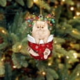 thumbnail image 4 of (2 Pack) Christmas Decorations Acrylic Stockings for Cats - Tree Hangs Festive Crafts Unique Holiday for Home Decoration, 4 of 4