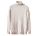 thumbnail image 1 of Men's Turtleneck Sweater Regular Fit Basic Long Sleeve Tee Shirts Solid Color Fall Knit Wear Casual Pullover, 1 of 4
