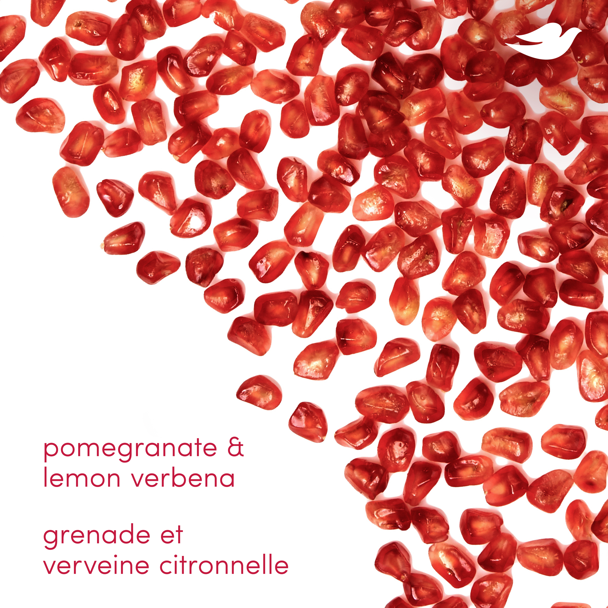 Dove Désodorisant Sans Aluminium Protection 72 H Grenade et Verveine Citronnelle, 74 g