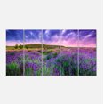 thumbnail image 2 of Champ de Lavande d'Été à Tihany - Toile d'Art Mural Paysage Moderne, 2 of 3