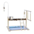 thumbnail image 1 of Parrot Playstand Bird Stand Platform Boredom Breaker Training Parrot Play Stand, 1 of 9