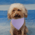 thumbnail image 4 of Dog Bandanas Washable Cotton Triangle Dog Scarfs Reversible Cotton Scarf for Small Medium Large Pets, 4 of 5